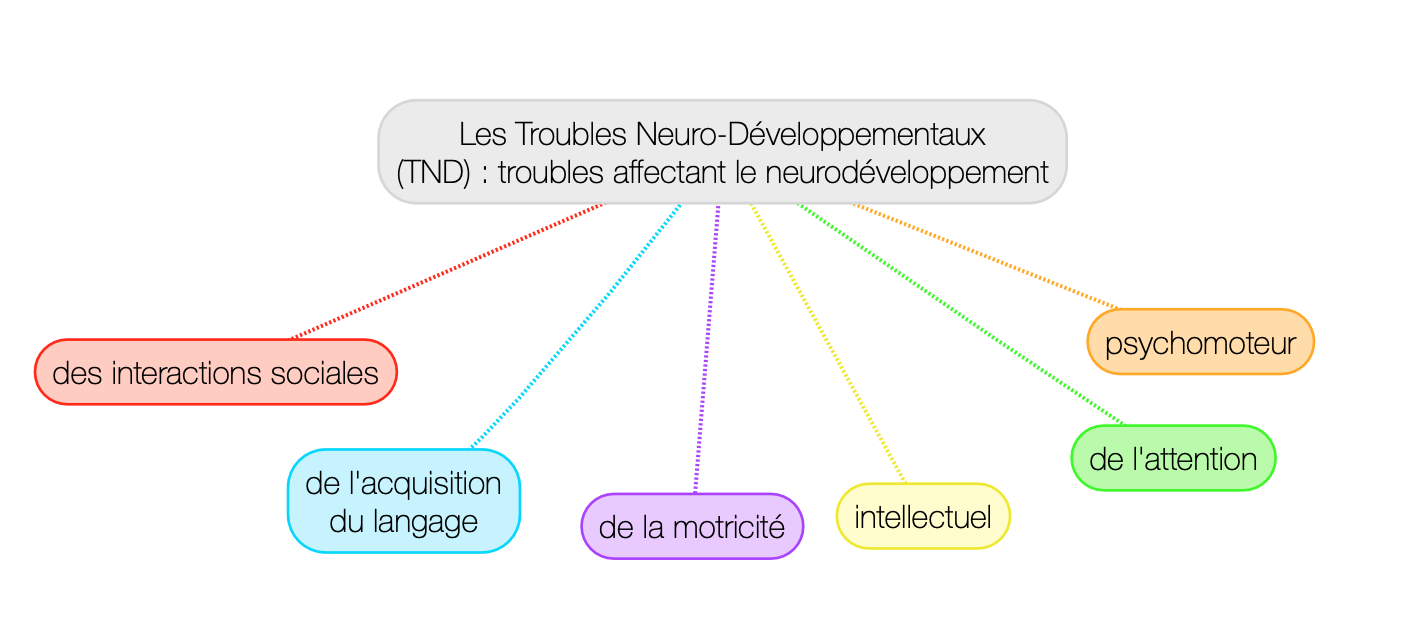 Les TND Troubles neuro développementaux